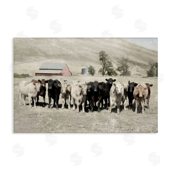 stupell industries Rhonda Addison | Varied Cattle on Farm