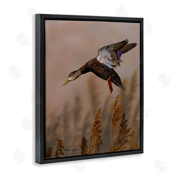 Stupell Industries Richard Clifton | Duck Flying Photography Wall Art