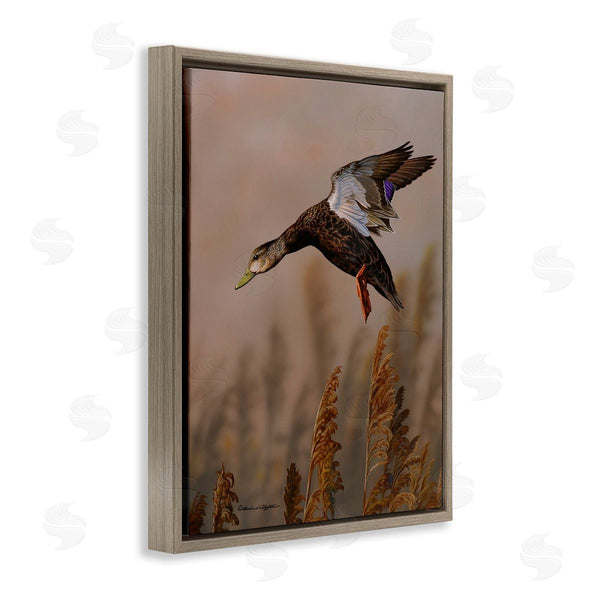 Stupell Industries Richard Clifton | Duck Flying Photography Wall Art
