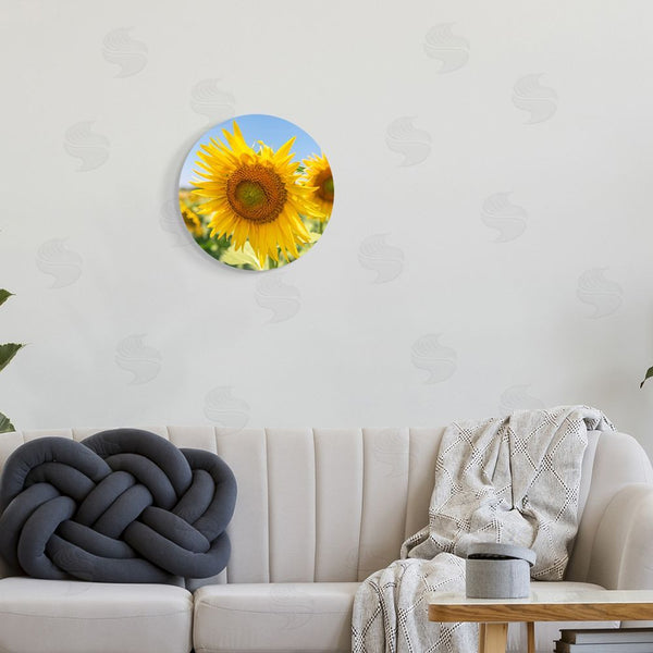 Stupell Industries Richard Silver | Sunflower Florals In Sunny Blue Farm Field Wall Art