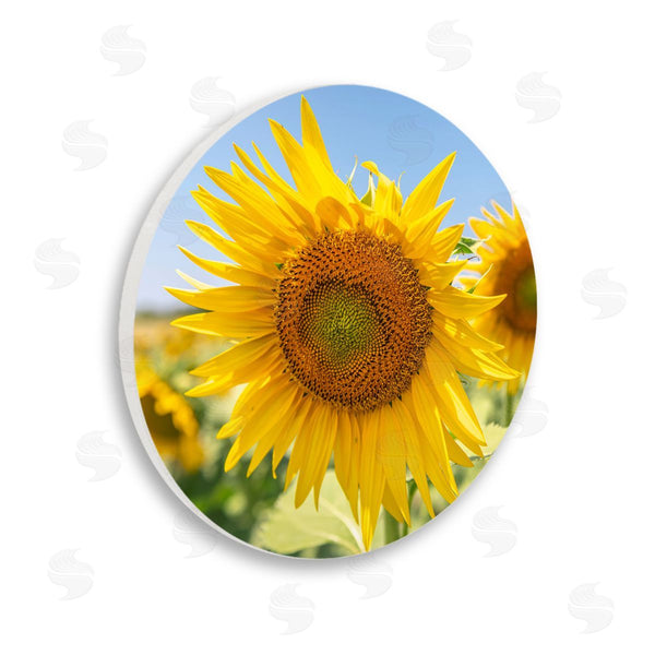 stupell industries Richard Silver | Sunflower Florals in Sunny Blue Farm Field Wall Art