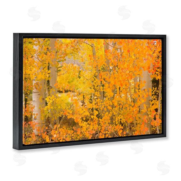 Stupell Industries Richard Wong | Dense Birch Foliage Wall Art