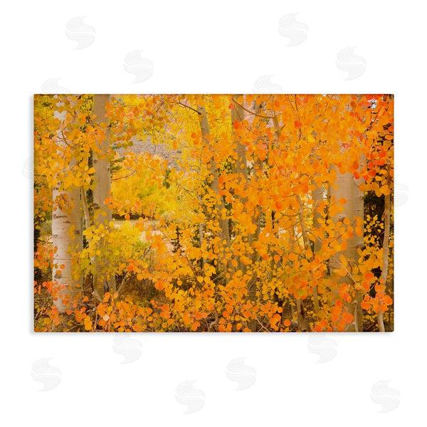 stupell industries Richard Wong | Dense Birch Foliage Wall Art