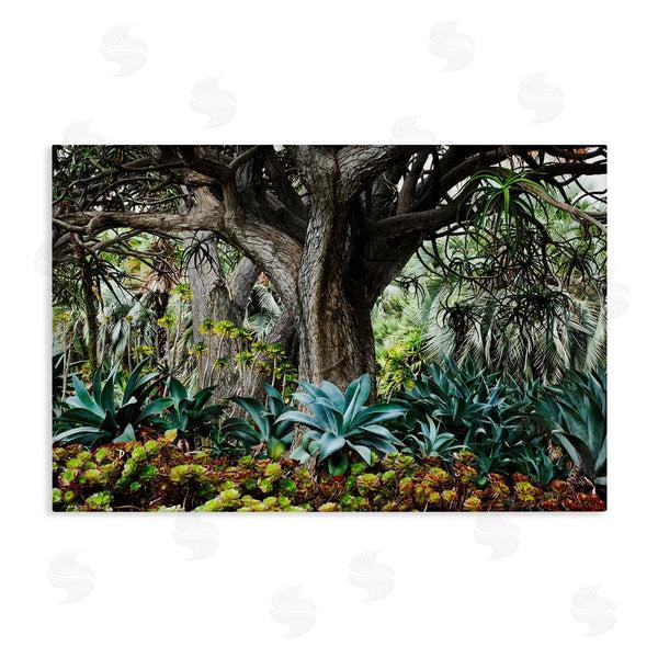 stupell industries Richard Wong | Lush Tropical Vegetation Wall Art