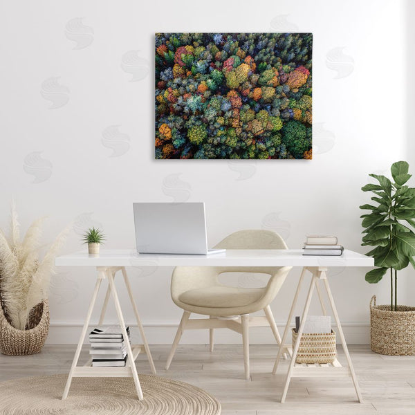 Stupell Industries Rick Berk | Aerial View Autumnal Foliage Wall Art