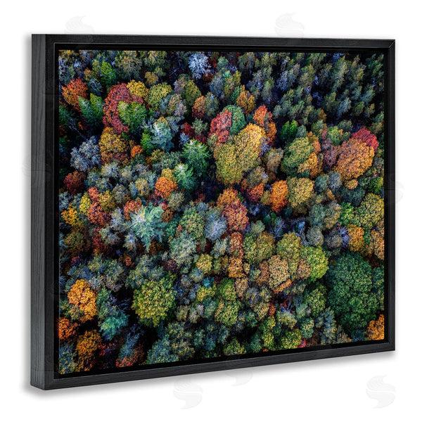 Stupell Industries Rick Berk | Aerial View Autumnal Foliage Wall Art