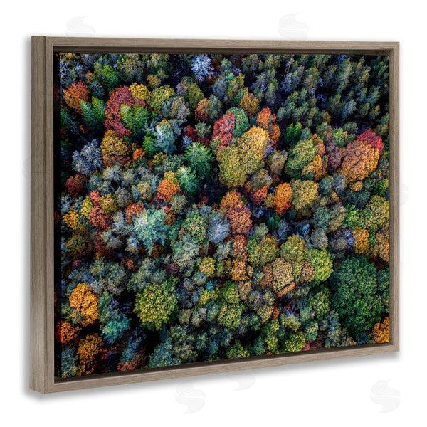 Stupell Industries Rick Berk | Aerial View Autumnal Foliage Wall Art
