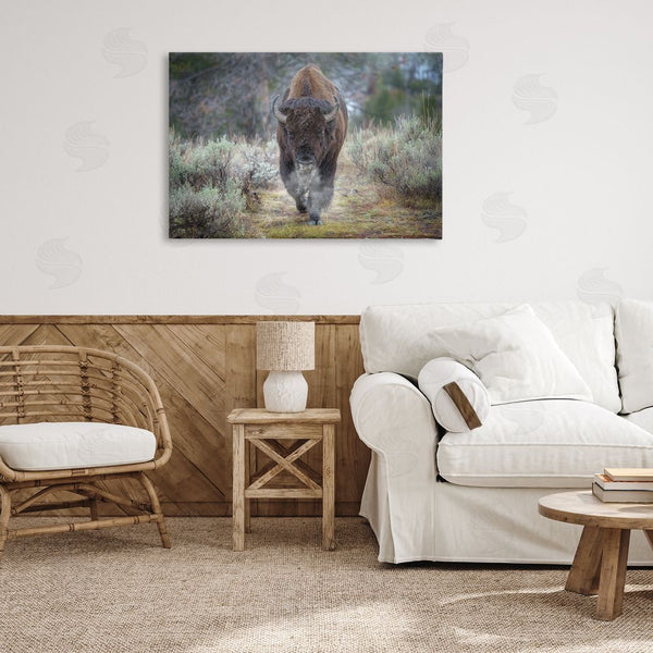 Stupell Industries Rick Berk | Bison Stepping Photography Wall Art