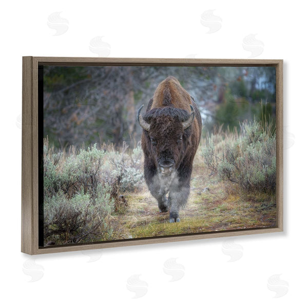 Stupell Industries Rick Berk | Bison Stepping Photography Wall Art