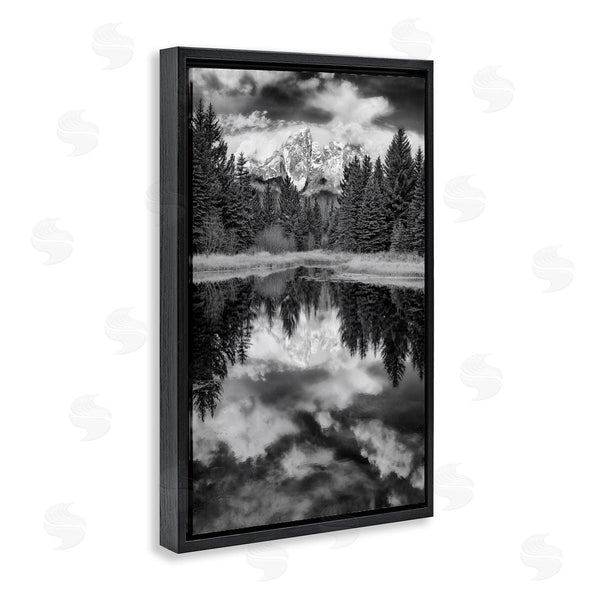 Stupell Industries Rick Berk | Black & White Forest Reflection Wall Art