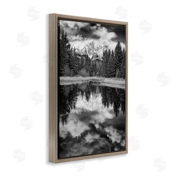Stupell Industries Rick Berk | Black & White Forest Reflection Wall Art