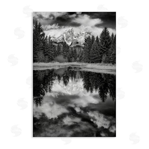 stupell industries Rick Berk | Black & White Forest Reflection Wall Art