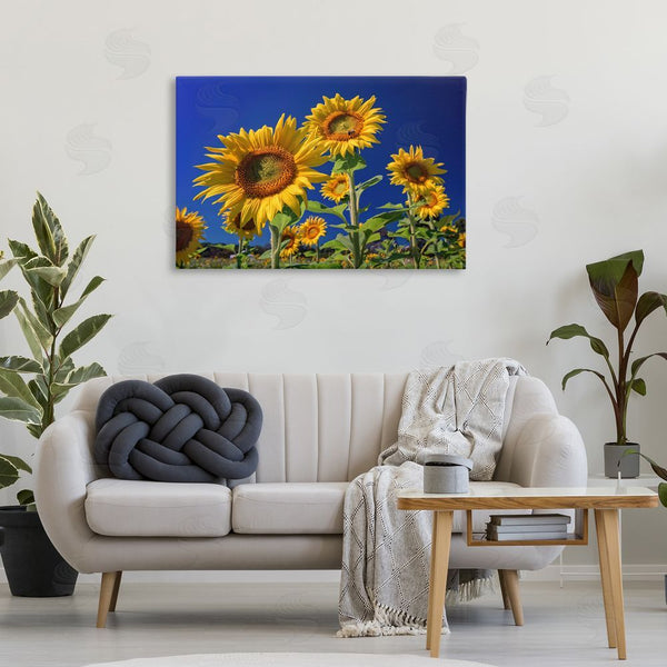 Stupell Industries Rick Berk | Bright Sunflowers With Blue Sky Wall Art