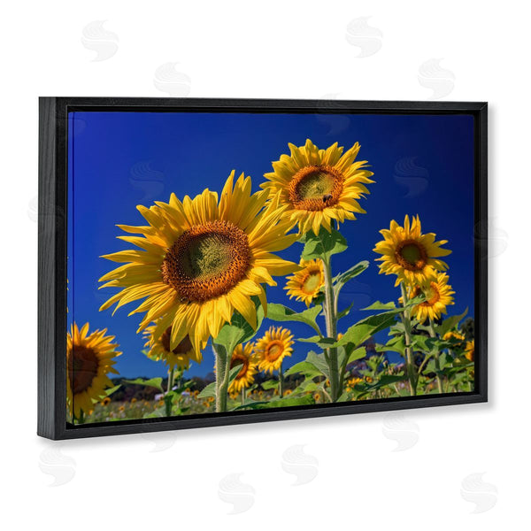 Stupell Industries Rick Berk | Bright Sunflowers With Blue Sky Wall Art