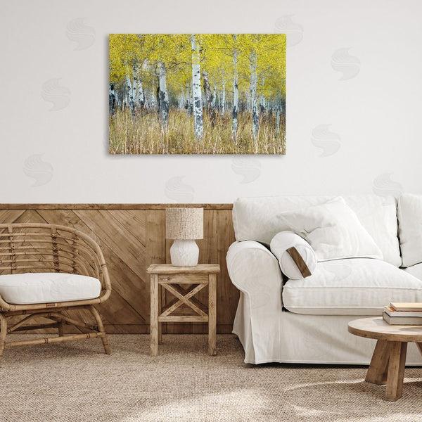 Stupell Industries Rick Berk | Dense Birch Trees Wall Art