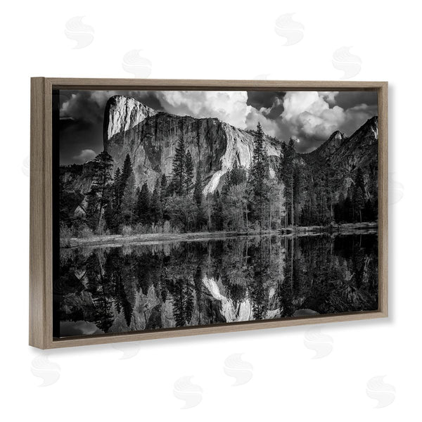 Stupell Industries Rick Berk | Forest Trees Lake Reflection Wall Art
