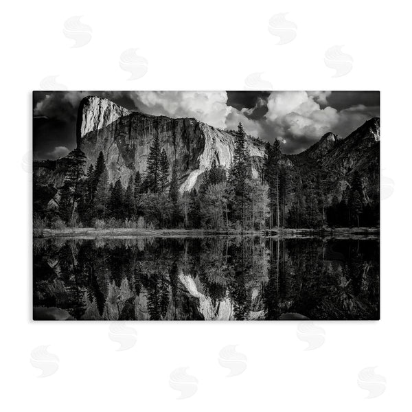 stupell industries Rick Berk | Forest Trees Lake Reflection Wall Art