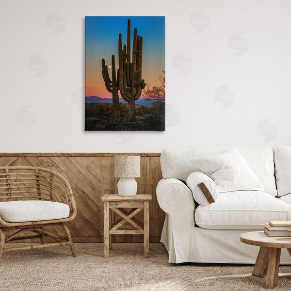 Stupell Industries Rick Berk | Silhouetted Cacti With Moon Wall Art