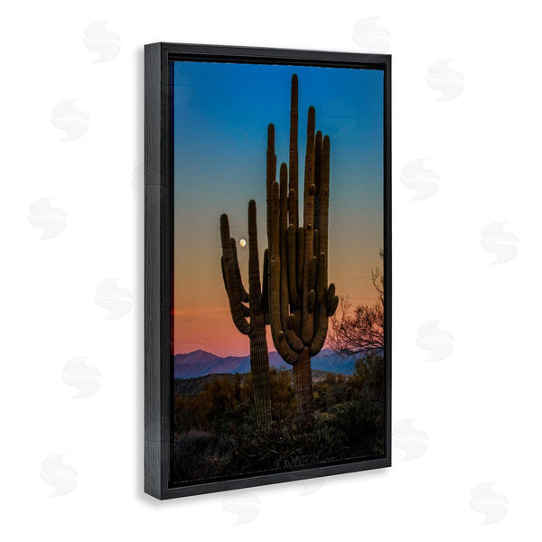 Stupell Industries Rick Berk | Silhouetted Cacti With Moon Wall Art