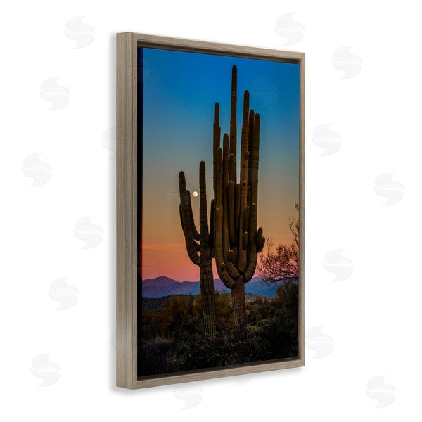 Stupell Industries Rick Berk | Silhouetted Cacti With Moon Wall Art