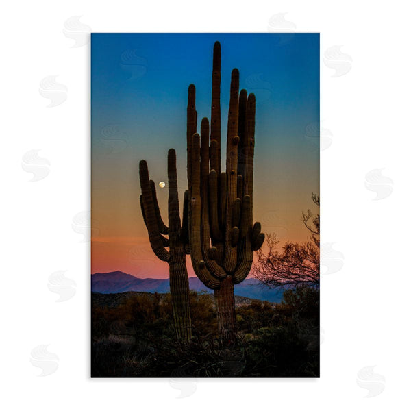 stupell industries Rick Berk | Silhouetted Cacti with Moon Wall Art