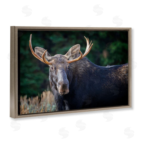 Stupell Industries Rick Berk | Stoic Elk Portrait Wall Art