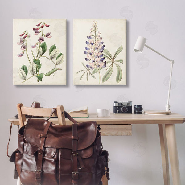 Stupell Industries Ridgeway | Foxglove Latin Studies Wall Art