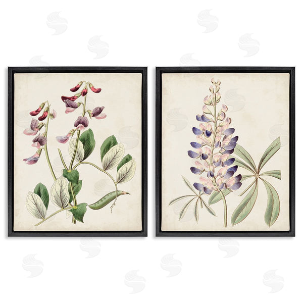 Stupell Industries Ridgeway | Foxglove Latin Studies Wall Art