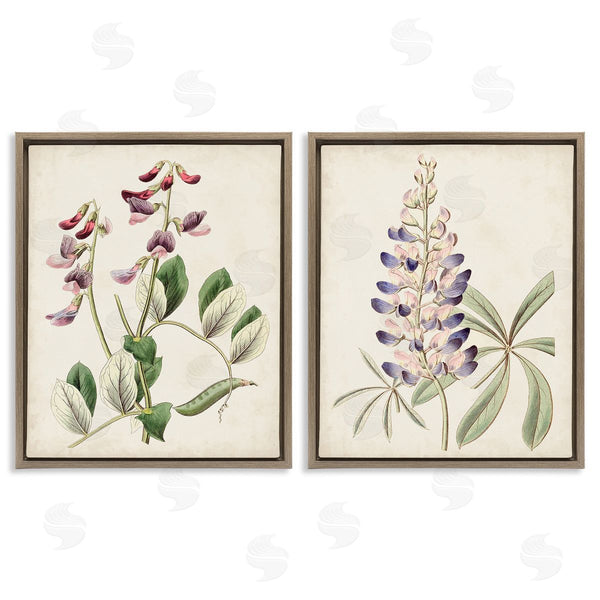 Stupell Industries Ridgeway | Foxglove Latin Studies Wall Art