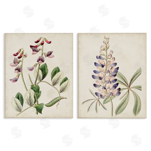 stupell industries Ridgeway | Foxglove Latin Studies Wall Art