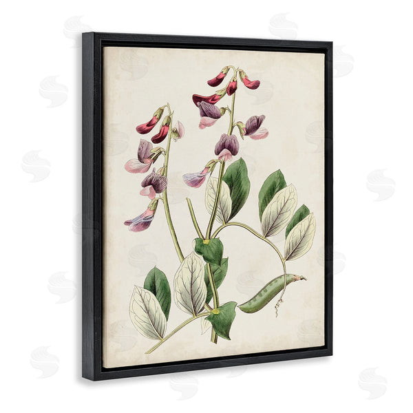 Stupell Industries Ridgeway | Vintage Foxglove Study Wall Art