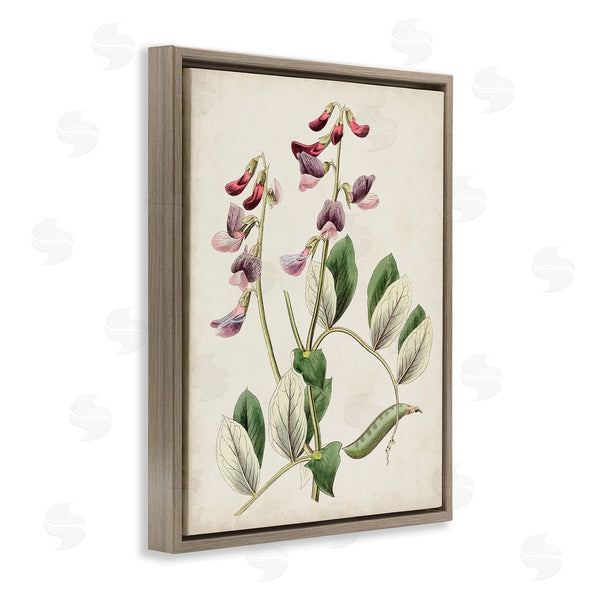 Stupell Industries Ridgeway | Vintage Foxglove Study Wall Art