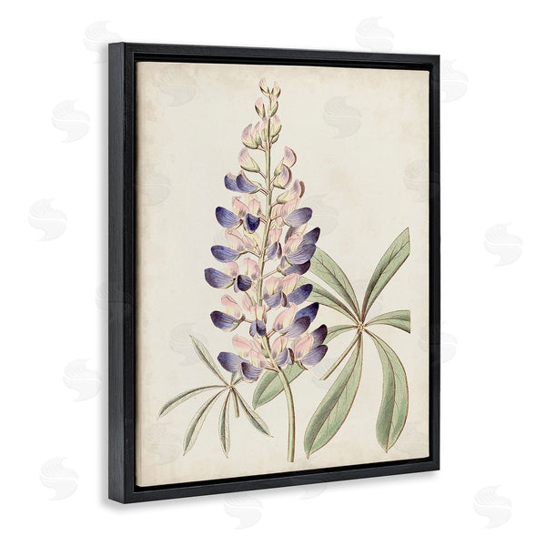 Stupell Industries Ridgeway | Vintage Lupin Plant Wall Art