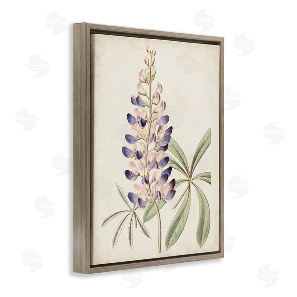 Stupell Industries Ridgeway | Vintage Lupin Plant Wall Art