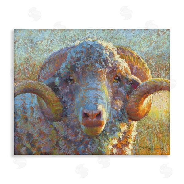 stupell industries Rita Kirkman | Country Sheep Modern Portrait Wall Art