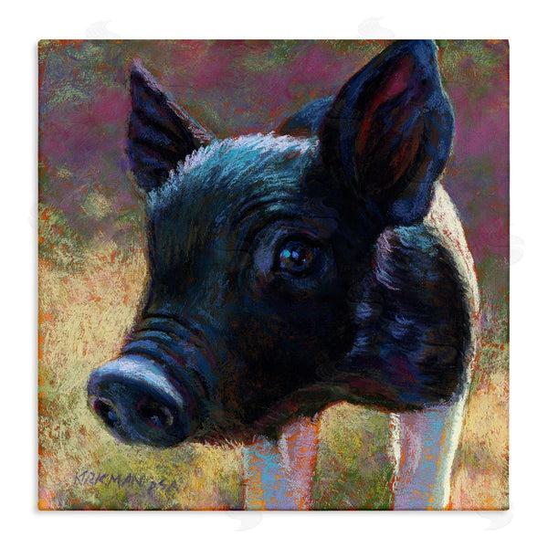 stupell industries Rita Kirkman | Cute Black Pig Close Up Portrait Wall Art
