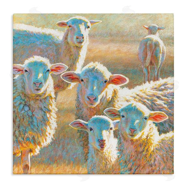stupell industries Rita Kirkman | Modern Country Sheep Farm Animals Wall Art