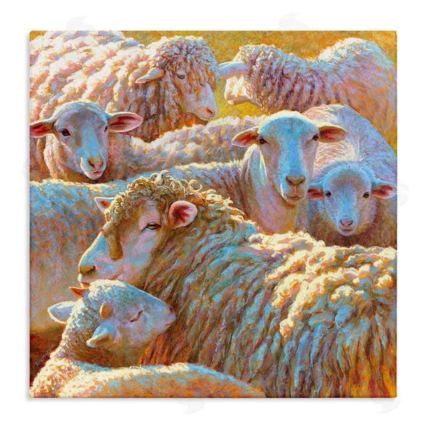 stupell industries Rita Kirkman | Sheep Herd Farm Animals Wall Art