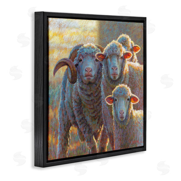 Stupell Industries Rita Kirkman | Sunlit Sheep Family Farm Animals Wall Art