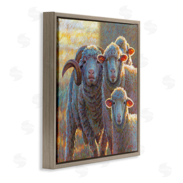Stupell Industries Rita Kirkman | Sunlit Sheep Family Farm Animals Wall Art