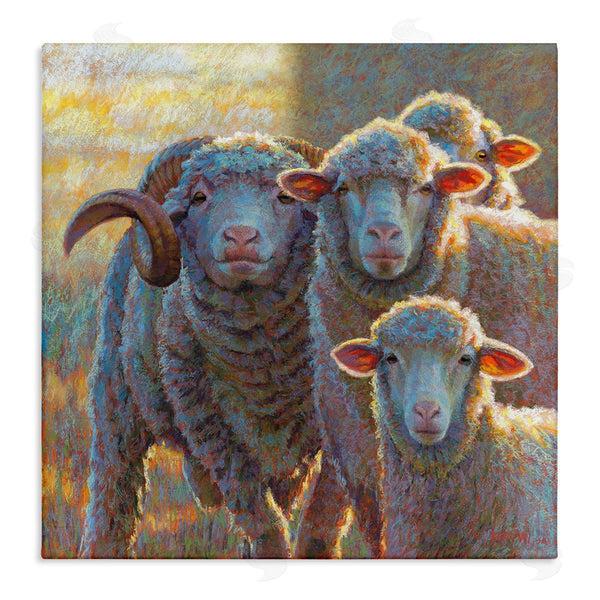 stupell industries Rita Kirkman | Sunlit Sheep Family Farm Animals Wall Art
