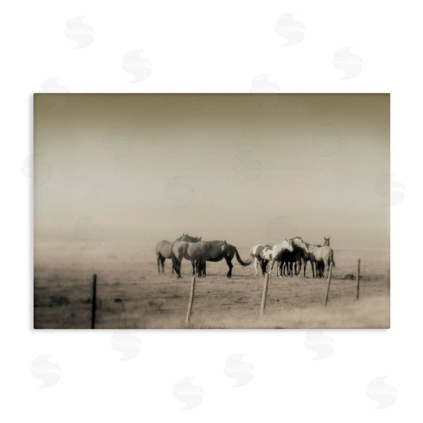 stupell industries Roberta Murray | The Herd Monochrome Horses