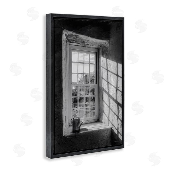 Stupell Industries Robin-Lee Viera | Afternoon D'Light Window View Wall Art