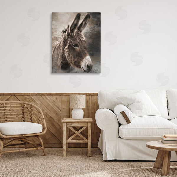 Stupell Industries Robin-Lee Viera | All Ears Donkey Wall Art