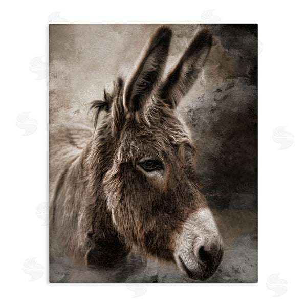 stupell industries Robin-Lee Viera | All Ears Donkey Wall Art