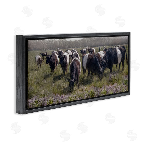 Stupell Industries Robin-Lee Viera | Black Cows Grazing In Pasture Wall Art