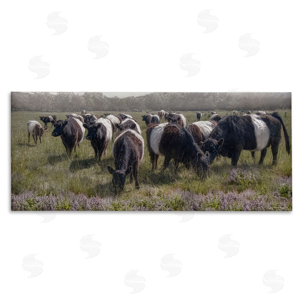 stupell industries Robin-Lee Viera | Black Cows Grazing in Pasture Wall Art