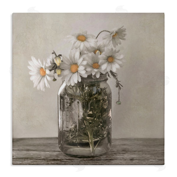 stupell industries Robin-Lee Viera | Joy In A Jar Daisies Wall Art