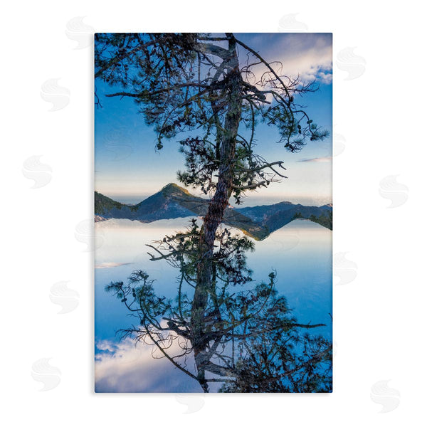 stupell industries Robin Vandenabeele | Tree & Mountain Symmetry
