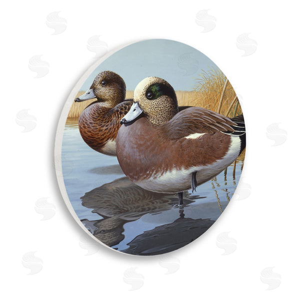 stupell industries Rod Lawrence | American Wigeons on Shore Wall Art